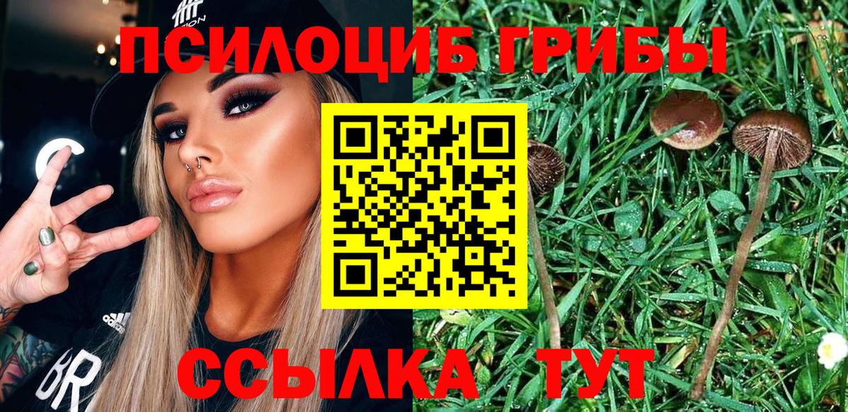 Галлюциногенные грибы мухоморы Юрга