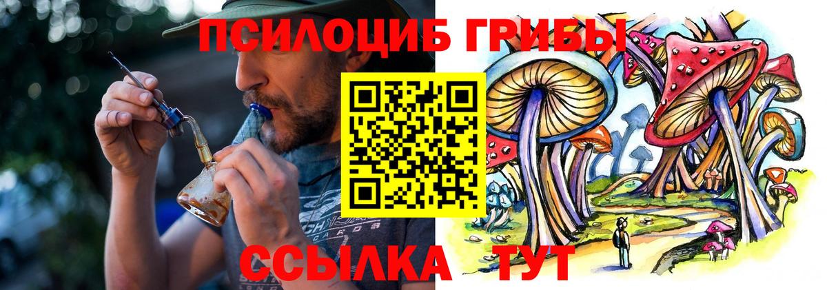 Юрга  Псилоцибиновые грибы Cubensis  Вход с VPN 